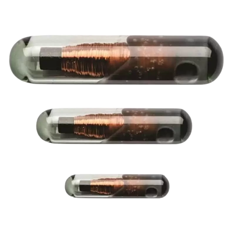 RFID Glass Tags